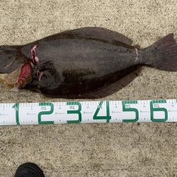 ビギナーが子座布団ＧＥＴ