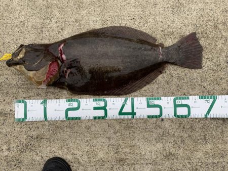 ビギナーが子座布団ＧＥＴ