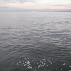 海の状況一変せず、安定のサバ