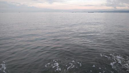 海の状況一変せず、安定のサバ