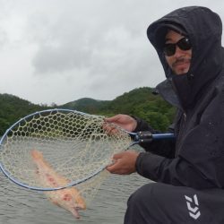 フィッシングレイクたかみや 釣果