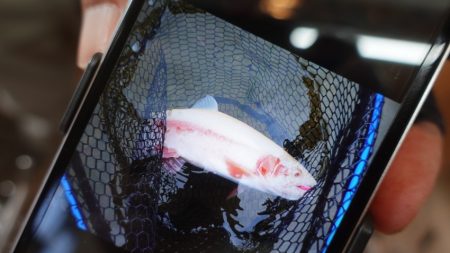 フィッシングレイクたかみや 釣果