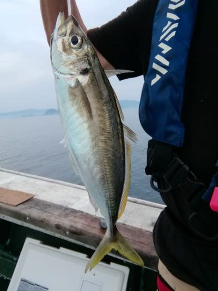松福丸 釣果