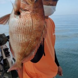 遊漁船　ニライカナイ 釣果