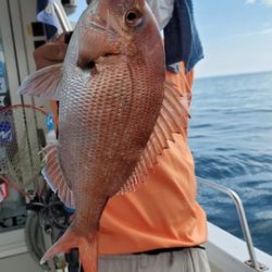 遊漁船　ニライカナイ 釣果