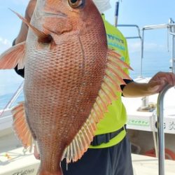 遊漁船　ニライカナイ 釣果