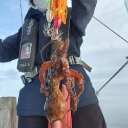 遊漁船　ニライカナイ 釣果