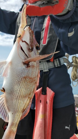 遊漁船　ニライカナイ 釣果