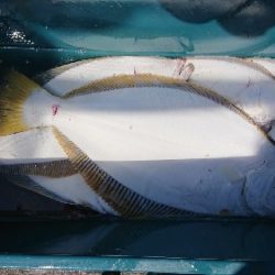 小樽港遊漁船SHAKE 釣果