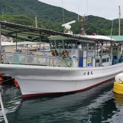 小島丸 釣果