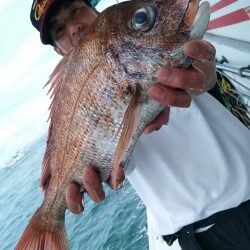 小島丸 釣果