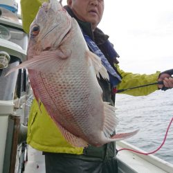 だて丸 釣果