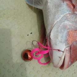 FISHING RISKY 釣果