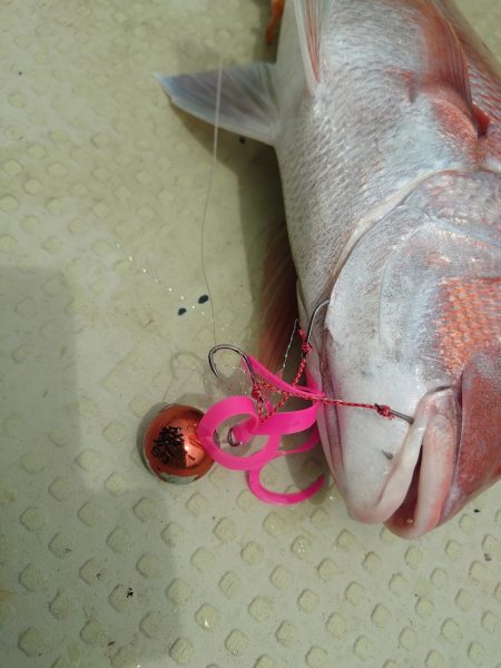 FISHING RISKY 釣果