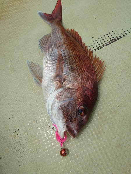 FISHING RISKY 釣果