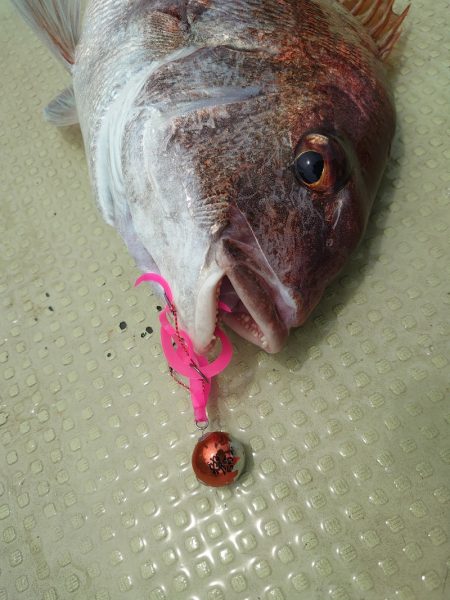 FISHING RISKY 釣果