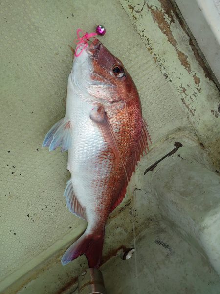 FISHING RISKY 釣果