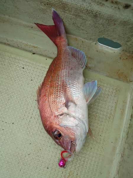 FISHING RISKY 釣果