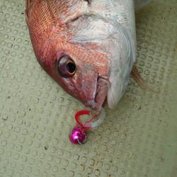 FISHING RISKY 釣果