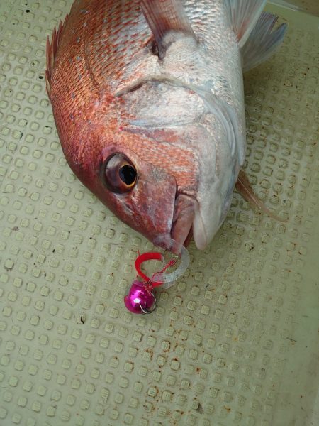 FISHING RISKY 釣果