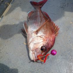 FISHING RISKY 釣果