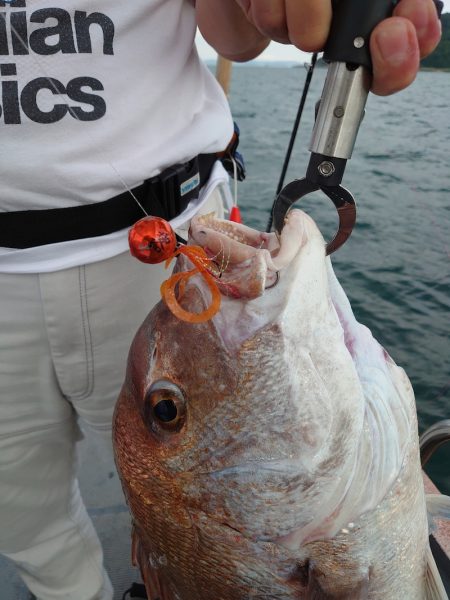 FISHING RISKY 釣果