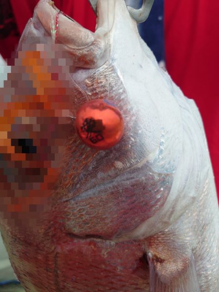 FISHING RISKY 釣果