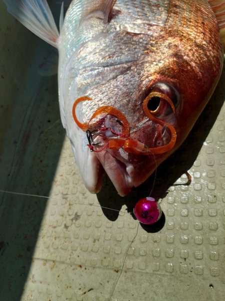 FISHING RISKY 釣果