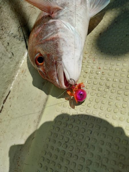 FISHING RISKY 釣果