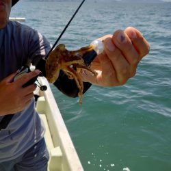 FISHING RISKY 釣果