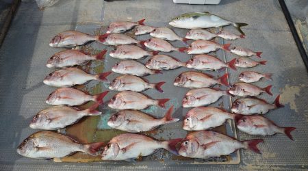 FISHING RISKY 釣果