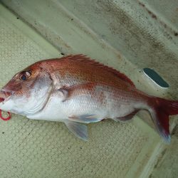 FISHING RISKY 釣果