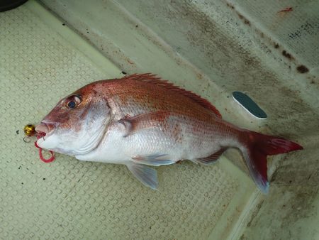 FISHING RISKY 釣果