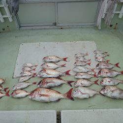 FISHING RISKY 釣果