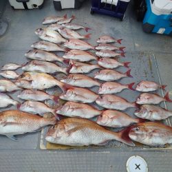 FISHING RISKY 釣果