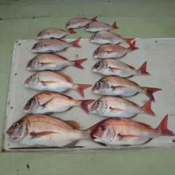 FISHING RISKY 釣果