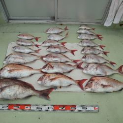 FISHING RISKY 釣果