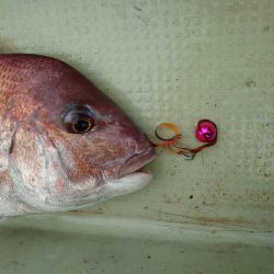 FISHING RISKY 釣果