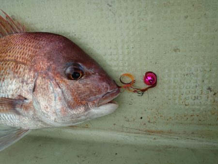 FISHING RISKY 釣果