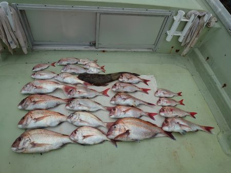 FISHING RISKY 釣果