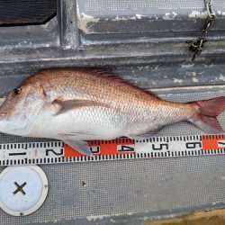 FISHING RISKY 釣果