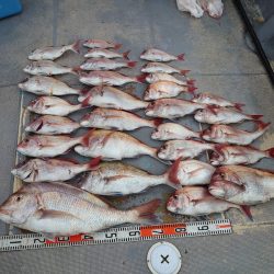 FISHING RISKY 釣果