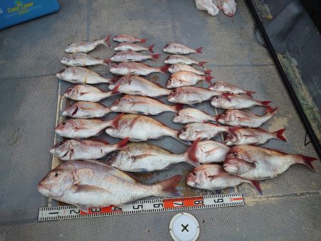 FISHING RISKY 釣果