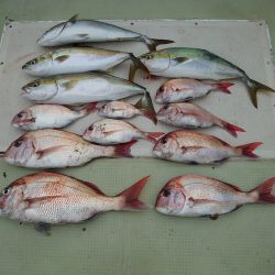 FISHING RISKY 釣果