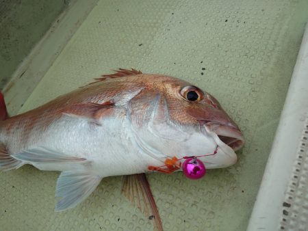 FISHING RISKY 釣果