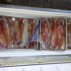 第二龍勢丸 釣果