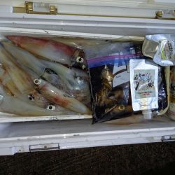 第二龍勢丸 釣果