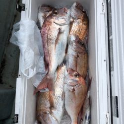 フィッシング キッタカ 釣果