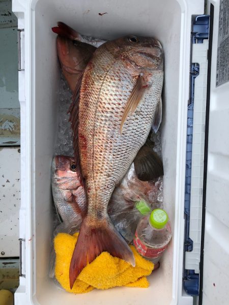 フィッシング キッタカ 釣果