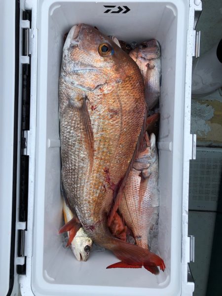 フィッシング キッタカ 釣果